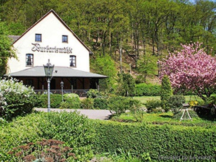 Landhotel Burkartsmuehle 호프하임암타우누스 외부 사진